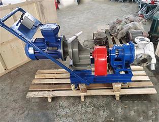 NYP不銹鋼高粘度轉(zhuǎn)子泵