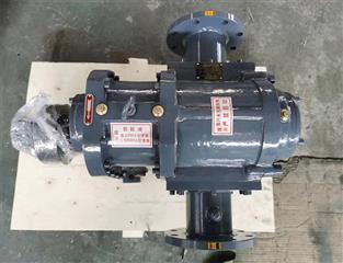 LZB節(jié)能轉(zhuǎn)子泵