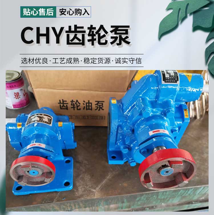 C<strong>HY齒輪泵</strong>