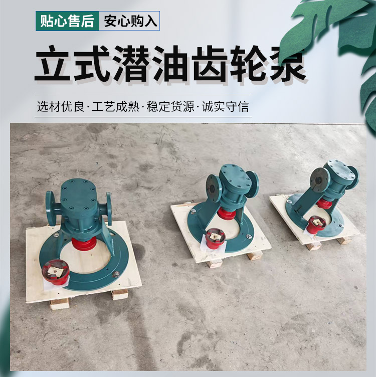 <strong>立式潛油齒輪泵</strong>